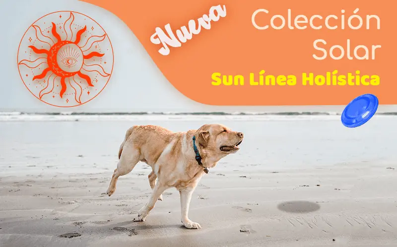 proteccion solar saha can