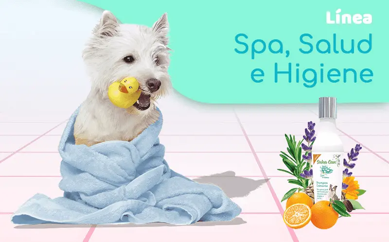 linea spa, salud e higiene